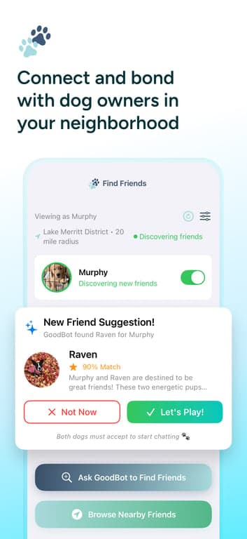 Kynine App Screenshot